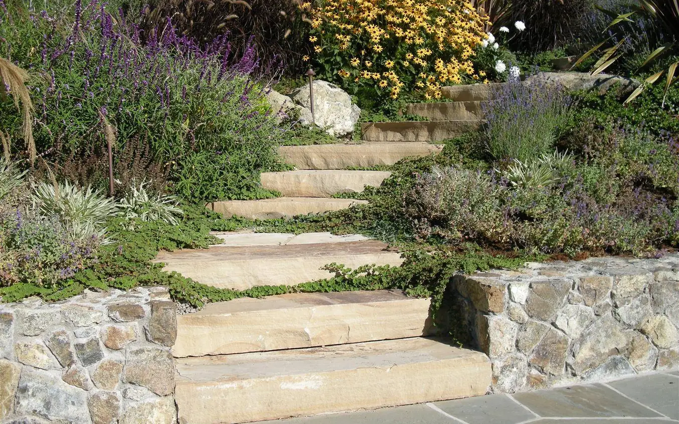 Mortared stone retaining walls on both sides of natural stone steps climbing a planted slope, retaining walls